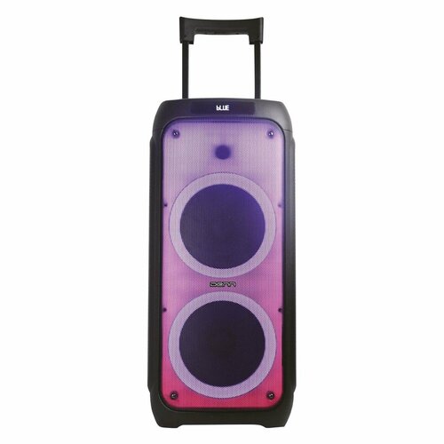 Музыкальная система Midi Denn Partybooster INSPIRE DPS555 2099000₽