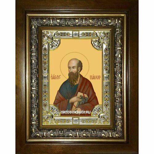 Икона Павел апостол, 18x24 см, со стразами, в деревянном киоте, арт вк-2470