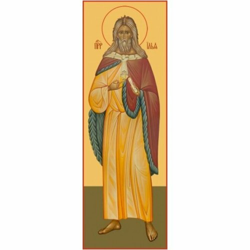 Икона Илия Пророк, арт MSM-6048