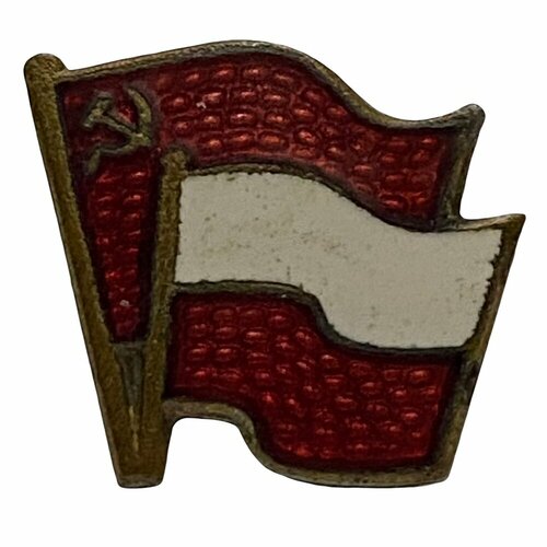 Знак Общество польско-советской дружбы Польша 1961-1970 гг. польша крест великопольского восстания 1961 1970 гг