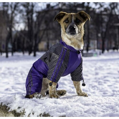 Утеплённый дождевик для собак Dogs Bomba (24см )