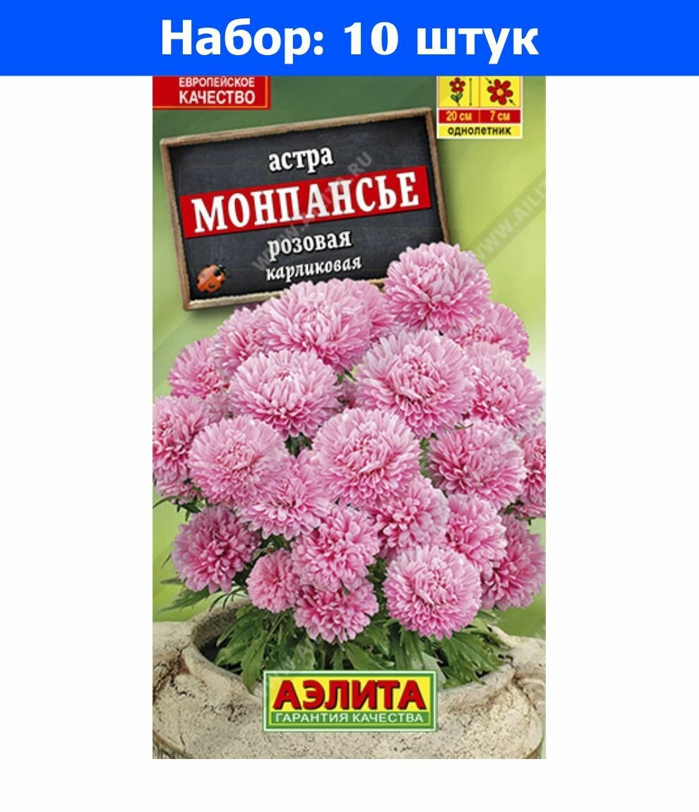 Астра Монпансье Розовая карликовая 0.2г Одн 20см (Аэлита) - 10 пачек семян