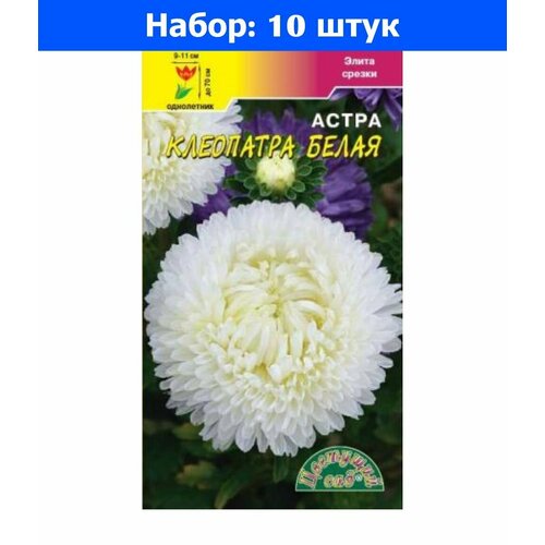 Астра Клеопатра Белая пионовидная 0.2г Одн 70см (Цвет сад) - 10 пачек семян