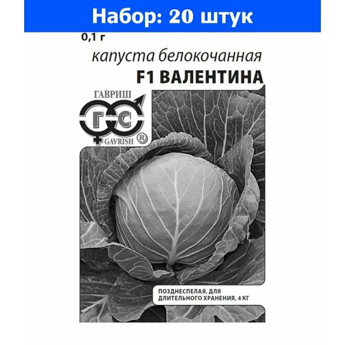 Капуста б/к Валентина F1 0,1г Позд (Гавриш) б/п - 20 пачек семян капуста б к валентина f1 0 15г позд дачаtime 10 ед товара