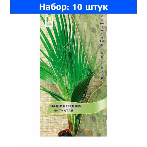 Пальма Вашингтония Нитчатая 3шт Комн (Поиск) - 10 пачек семян вашингтония нитчатая семена