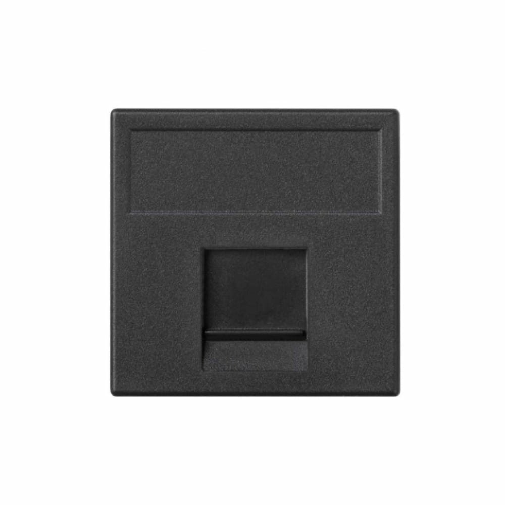 Connect K76-14 Крышка розетки информационной (RJ45, шторки, графит) Simon - фото №3