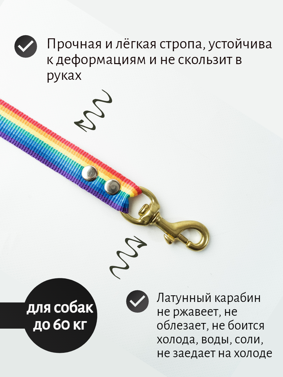 Поводок Хвостатыч для собак с золотым латунным карабином нейлон 40 см х 25 мм (радуга)