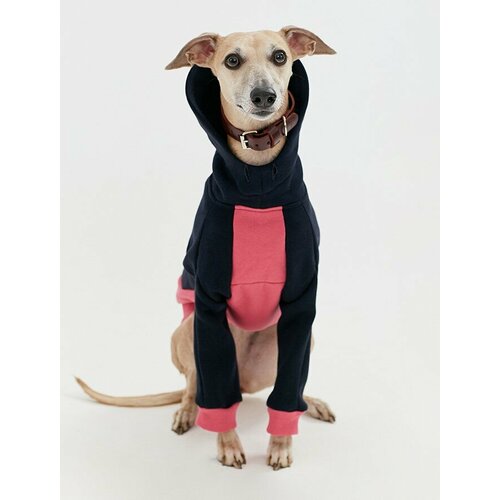 WOOFLER Стильная толстовка для уиппета, свитер для собак синий с розовым размер М44