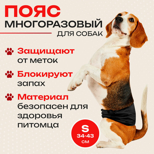 Пояс для кобелей многоразовый заменит трусы, памперсы, подгузники и даже пеленки на липучках