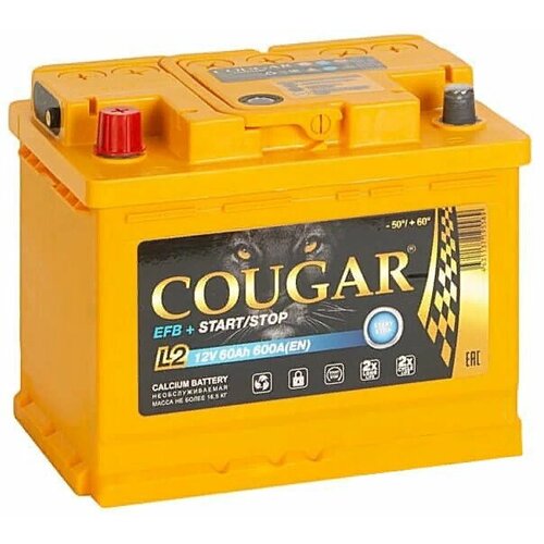 Аккумулятор автомобильный Cougar EFB 60 А/ч 600 А прям. пол. Росс. авто (242х175х190)