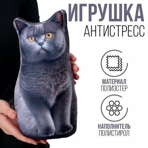 Антистресс игрушка Британец