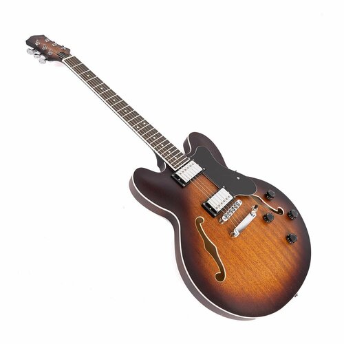 EART E-335 Brown Sunburst