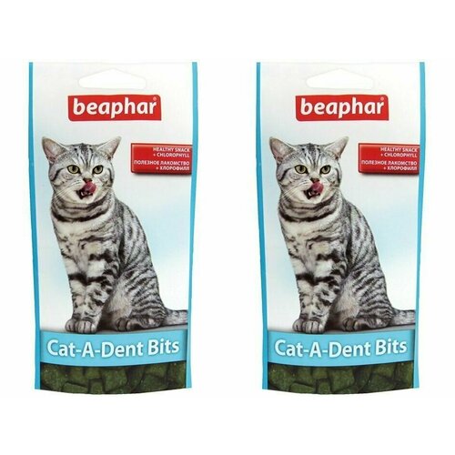 Beaphar Лакомство для кошек CAT-A-DENT BITS подушечки для чистки зубов, 35 г, 2 уп beaphar cat a dent bits подушечки для кошек для чистки зубов 35г 3 штуки