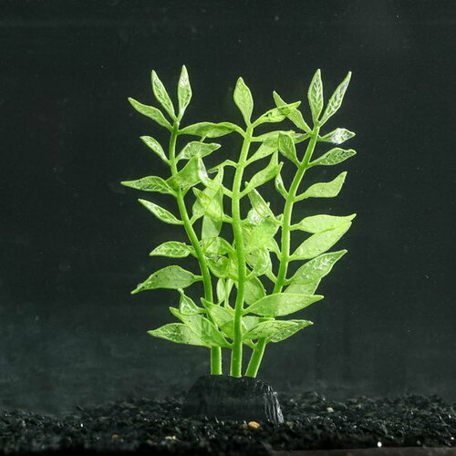 Растение силиконовое аквариумное, светящееся в темноте, 8 x 15 см, зелёное