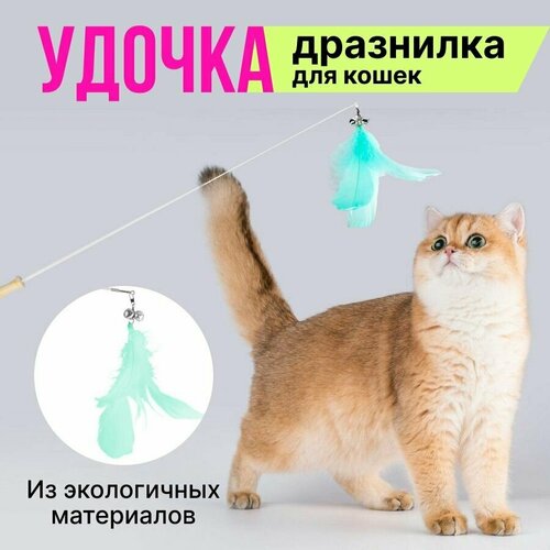 Игрушка дразнилка для котят и кошек из пера и дерева, зеленая