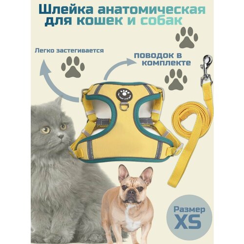 Анатомическая шлейка для собак мелких пород и кошек с поводком