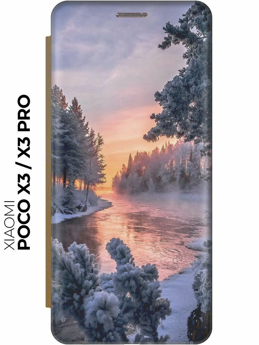 Чехол-книжка Река в заснеженном лесу на Xiaomi Poco X3 / X3 Pro / Сяоми Поко Х3 / Х3 Про золотой