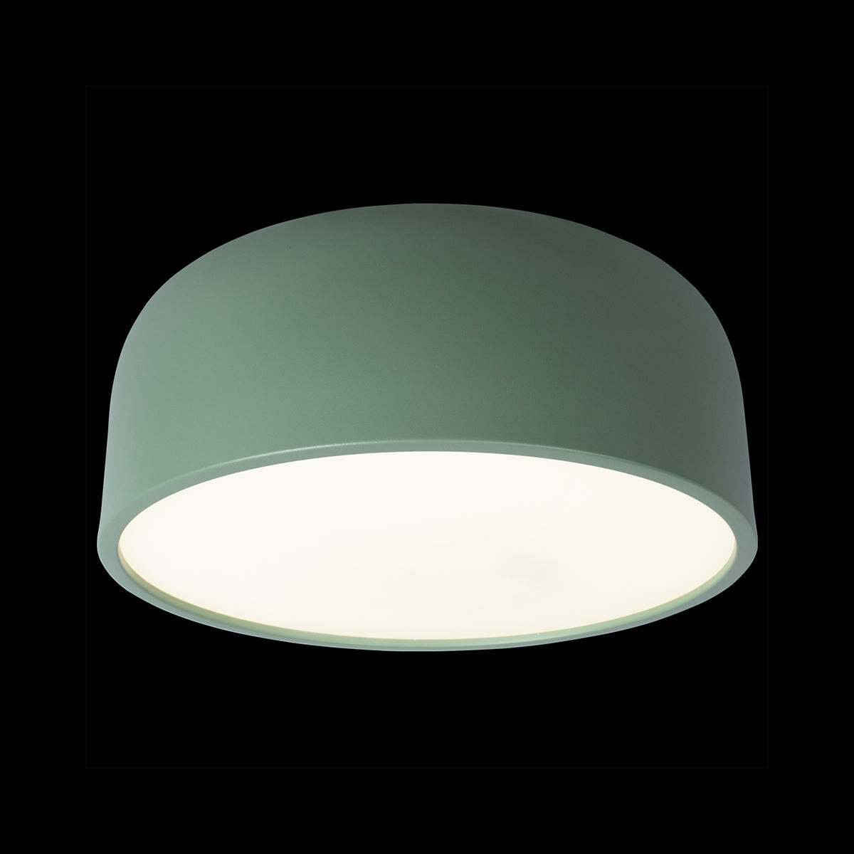 Loft IT Потолочный светильник Loft it Axel 10201/350 Green
