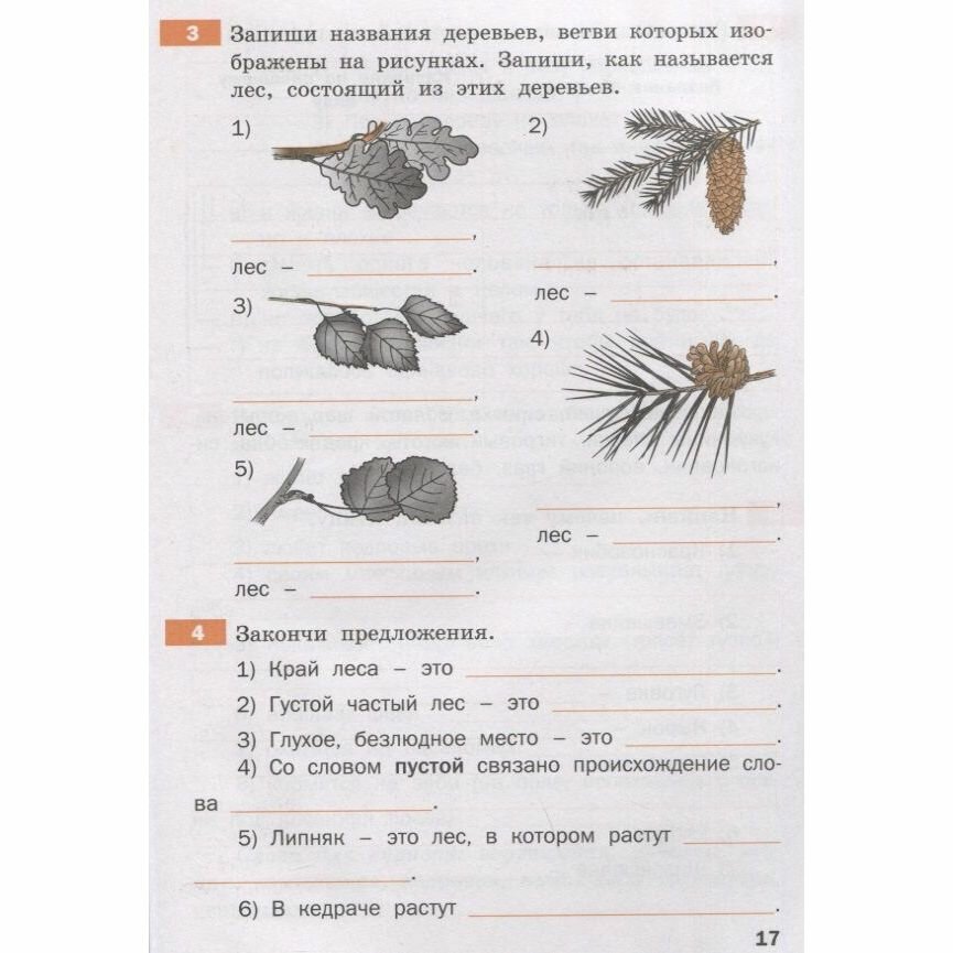 Тренажер по русскому родному языку 3 класс - фото №7