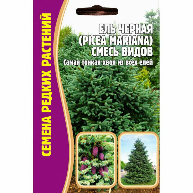 Семена Ели Черной (Picea Mariana) Смесь видов (20 семян)
