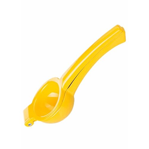 Сквизер Франция 240900₽