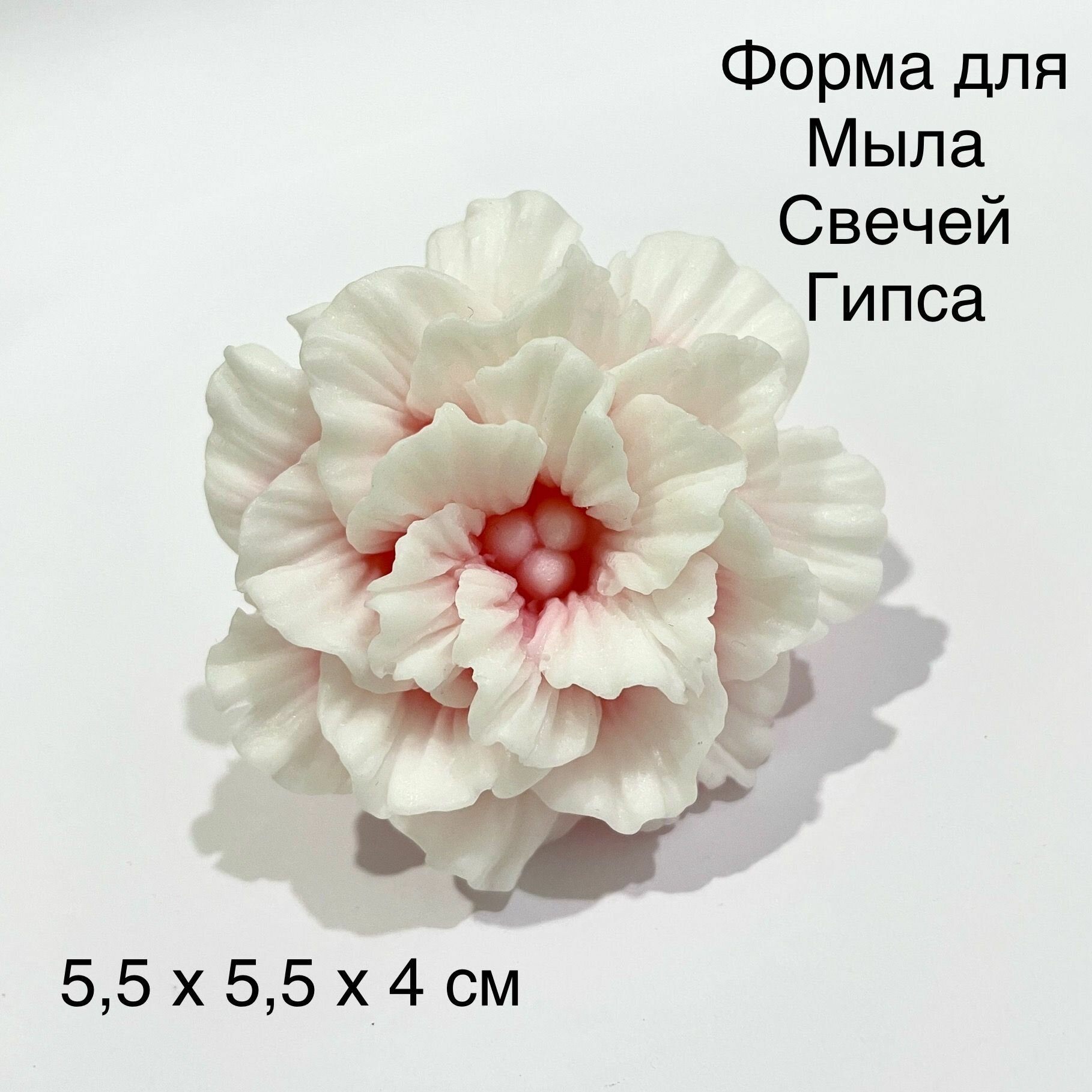 Силиконовая форма для мыла Кларкия 3D для свечей гипса 1шт 55 x 55 х 4 см