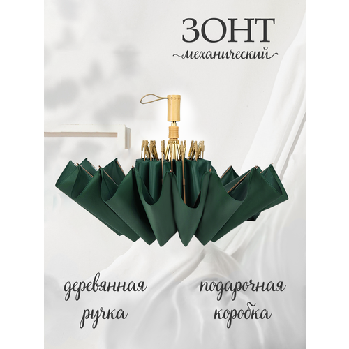 фото Зонт под дождем, темно-зеленый