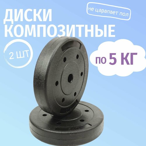 Комплект композитных дисков Barfits для гантелей и штанг, 5 кг 2 шт, черный