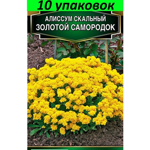 Семена Алиссум Золотой самородок 10уп по 0,1г (Аэлита) алиссум золотой самородок семена цветы