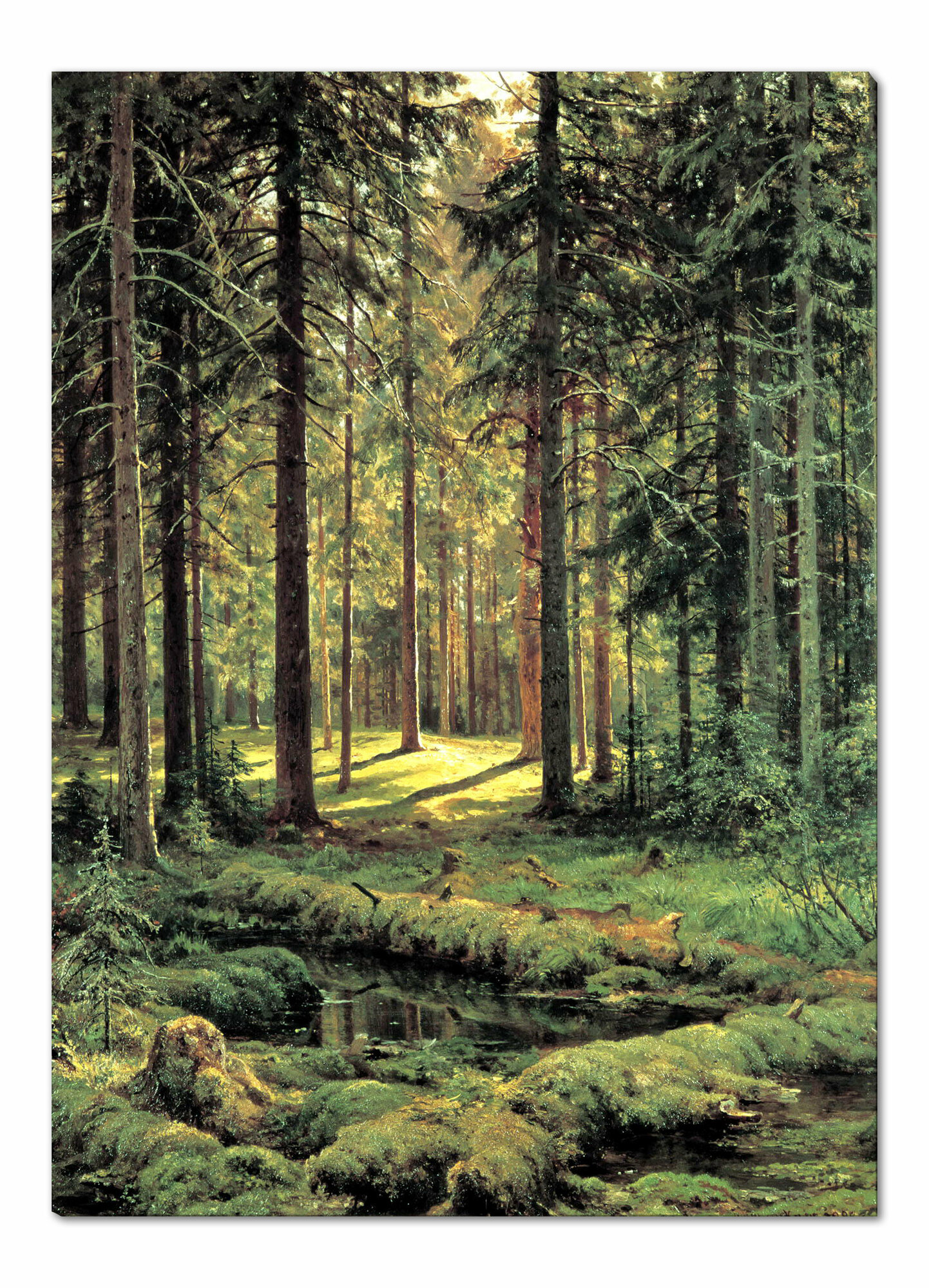 Картина для интерьера на натуральном холсте, "Хвойный лес. Солнечный день", 57х80, без подрамника