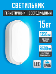 Светильник 15вт 6500К овал LEEK , светодиодный, влагозащищенный, IP65