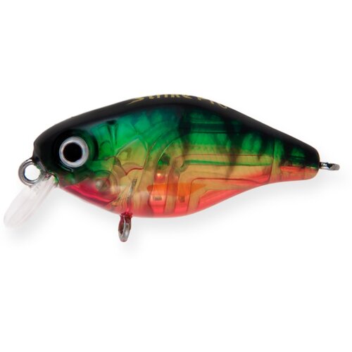 фото Воблер крэнк strike pro cranky-x 50, цвет: a102g transparent perch, (eg-165#a102g)
