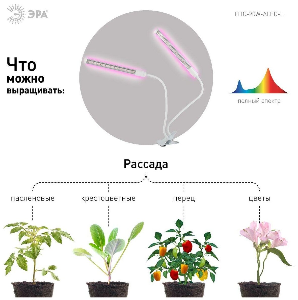 ЭРА Фито светильник на прищепке Сrocus FITO-20W-АLED для выращивания рассады и зелени