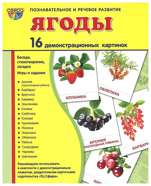 Ягоды (набор из 16 демонстрационных картинок) Цветкова Татьяна Владиславовна, Шорыгина Татьяна Андреевна