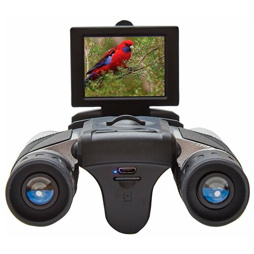 черный, серый, серебристый, черный