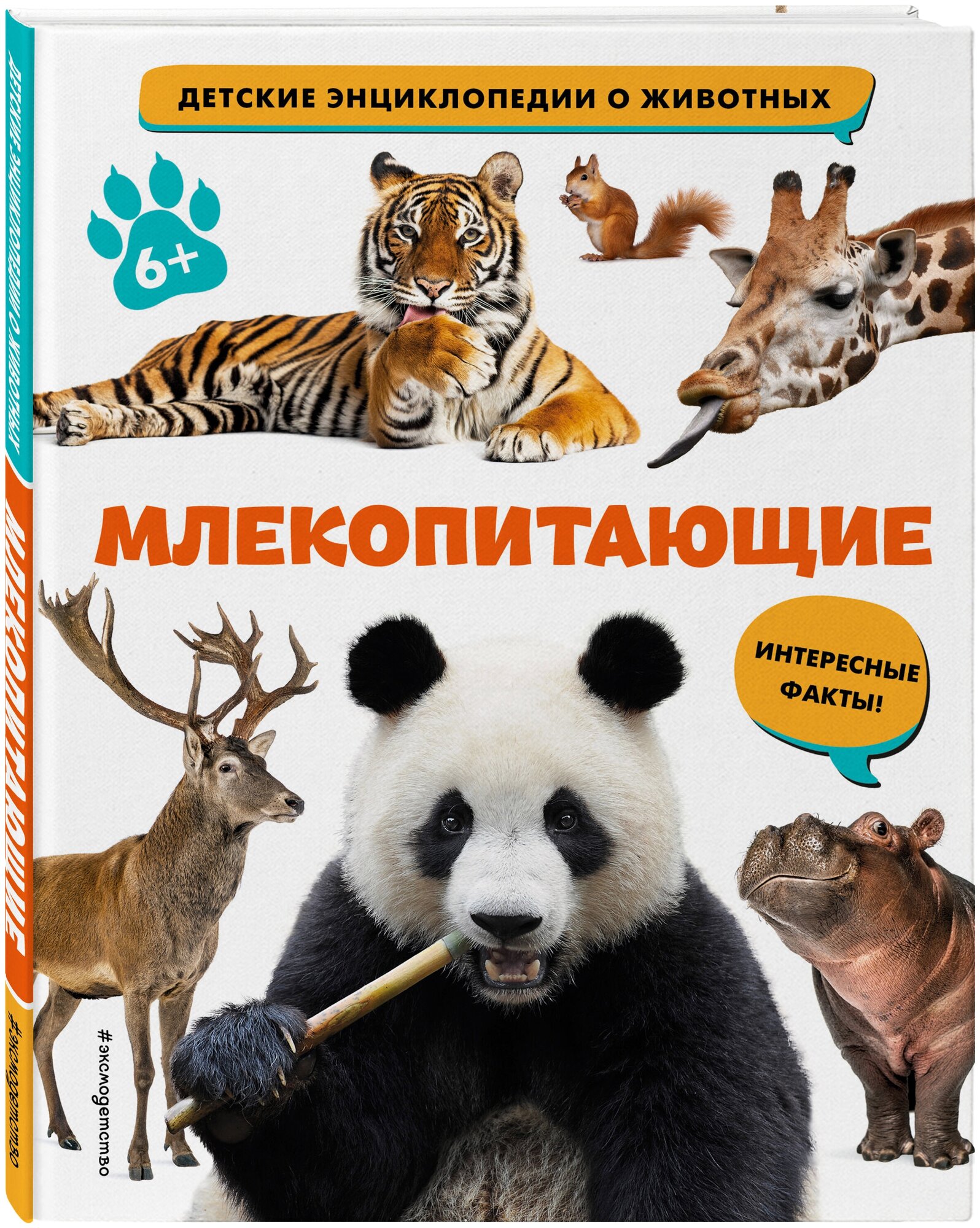 Млекопитающие (Воронина Наталья Павловна) - фото №1