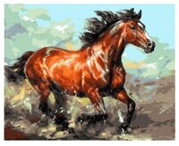 Рыжий кот Картина по номерам "Изящная лошадь" 40х50 см (Q1465)