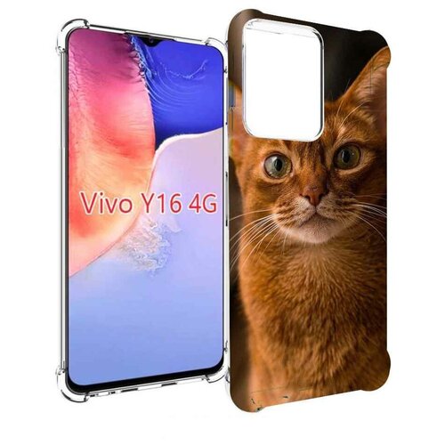 Чехол MyPads порода кошки абисинская для Vivo Y16 4G/ Vivo Y02S задняя-панель-накладка-бампер