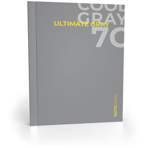 Записная книжка А4, клетка, Academy Style Cool Grey, 80л (11102) записная книжка а4 клетка academy style небоскребы 160л 11168