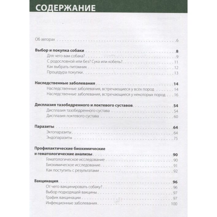 Как продлить жизнь вашей собаке - фото №3