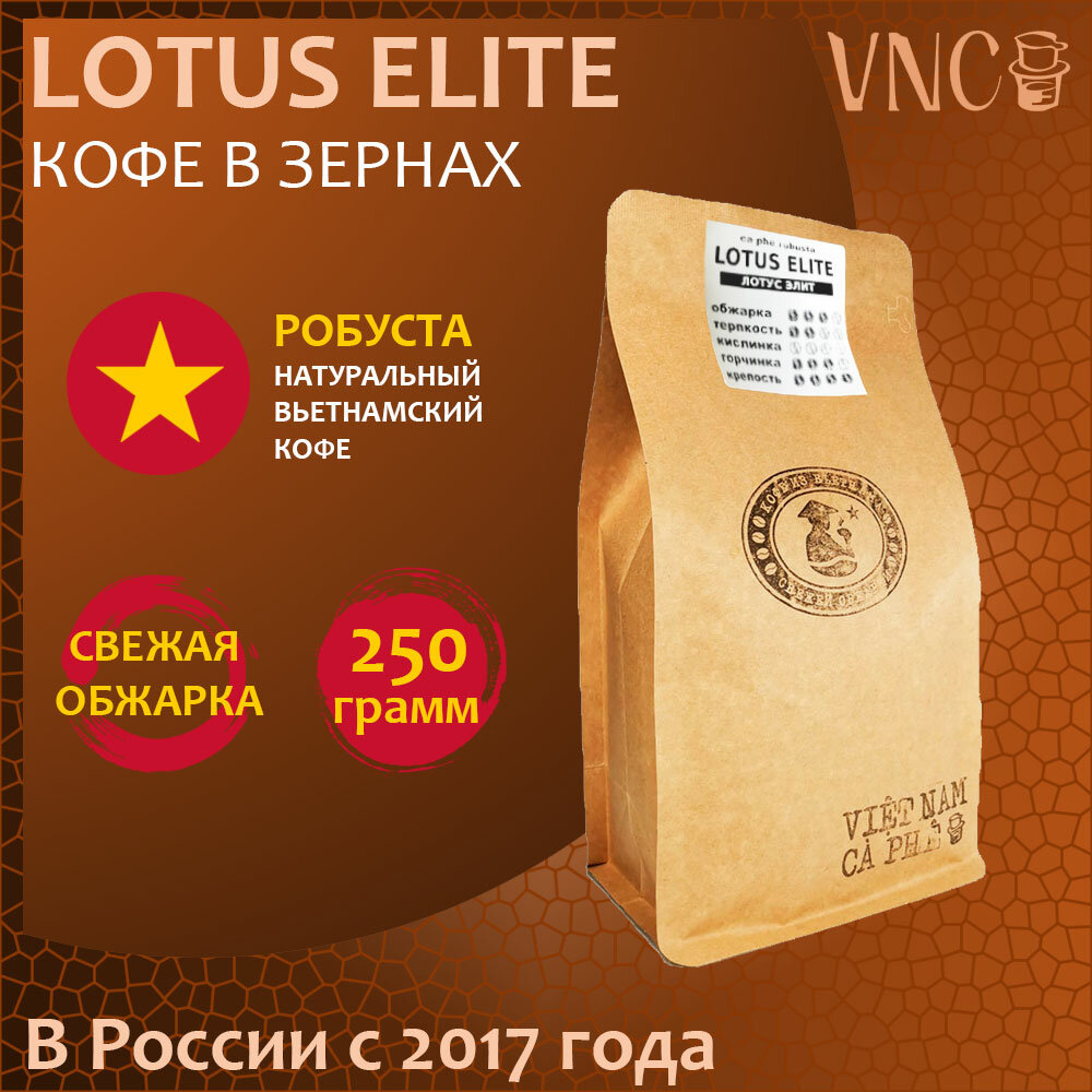 Кофе в зернах Lotus Elite VNC, 250 г, свежая обжарка, премиальная робуста из Вьетнама