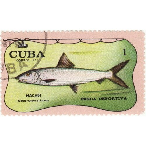 (1971-062) Марка Куба Альбула Спортивная рыбалка III Θ 1971 051 марка куба рыбак выставка детских рисунков гавана iii θ