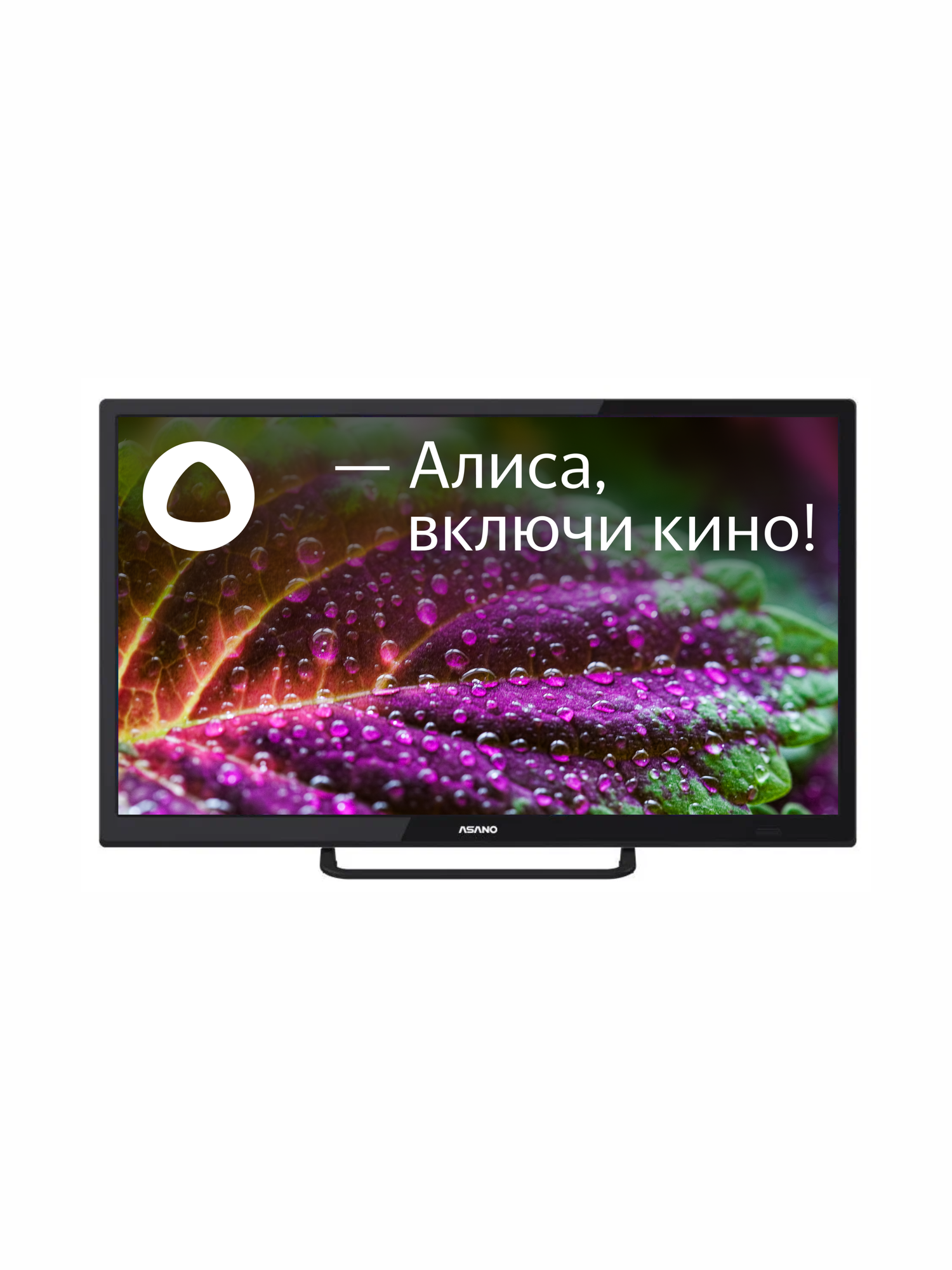 Телевизор смарт с Алисой 24" HD Asano 24LH8110T