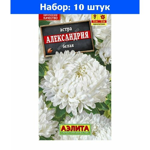 Астра Александрия белая махровая 0.1г Одн 70см (Аэлита) - 10 пачек семян смесь улыбка лета 2г смесь одн 70см аэлита 10 пачек семян