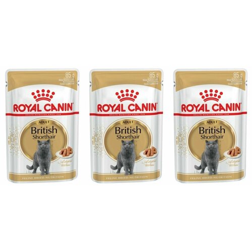 сухой корм для взрослых кошек royal canin british shorthair adult 2 кг Royal Canin Влажный корм для кошек британской короткошерстной породы British Shorthair Adult, соус, старше 12 месяцев, 85 г, 3 шт