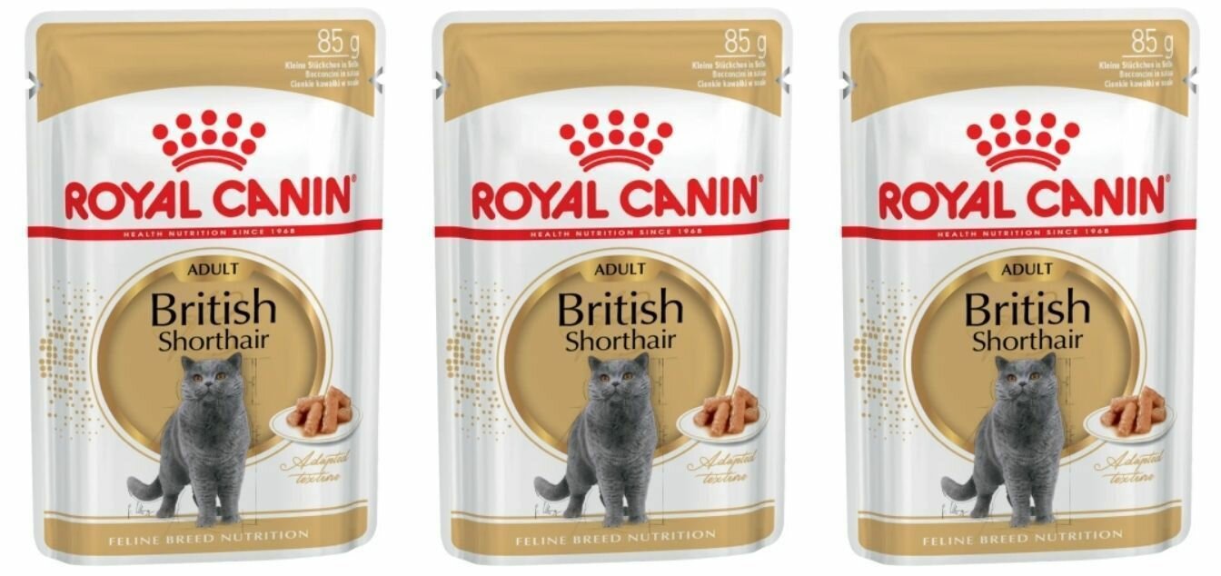 Royal Canin Влажный корм для кошек британской короткошерстной породы British Shorthair Adult, соус, старше 12 месяцев, 85 г, 3 шт