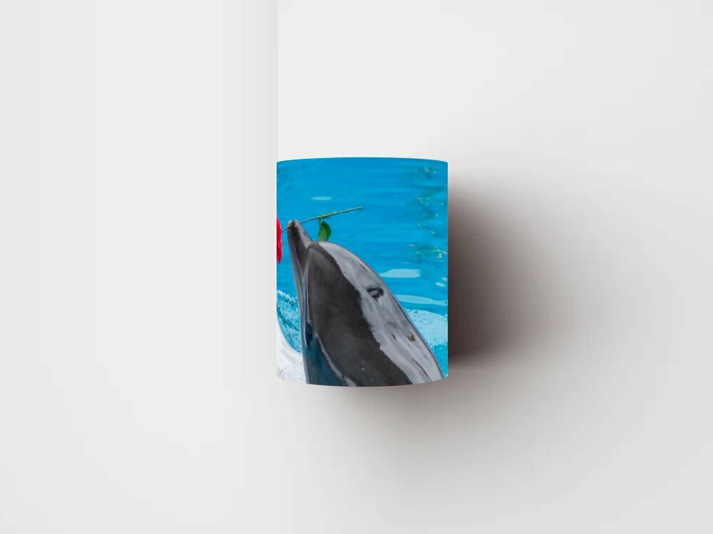 Кружка с рисунком, принтом "Дельфинарий, море, дельфин" 320 мл.