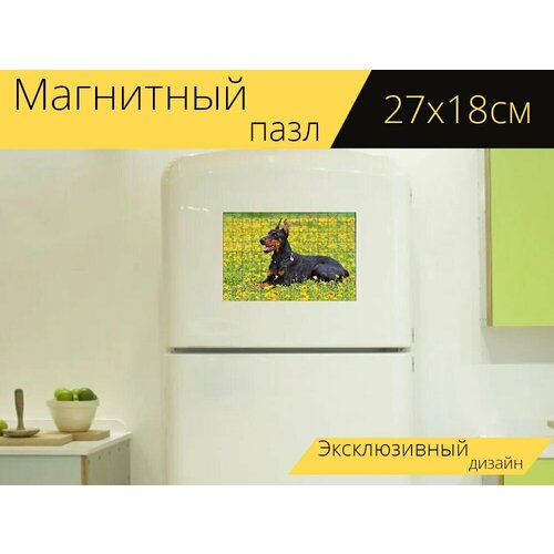 Магнитный пазл Доберман, собака, природа на холодильник 27 x 18 см. магнитный пазл собака доберман животные на холодильник 27 x 18 см