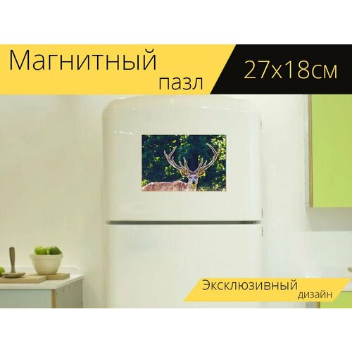 Магнитный пазл Олень, животное, настоящий олень на холодильник 27 x 18 см. магнитный пазл олень животное формозы олень на холодильник 27 x 18 см