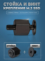 M.2 SSD Стойка с винтом для крепления / М.2 Креплеж Черный